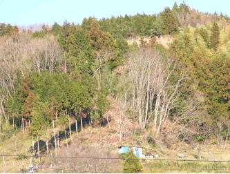 里山の風景、愛媛新聞四季錄用